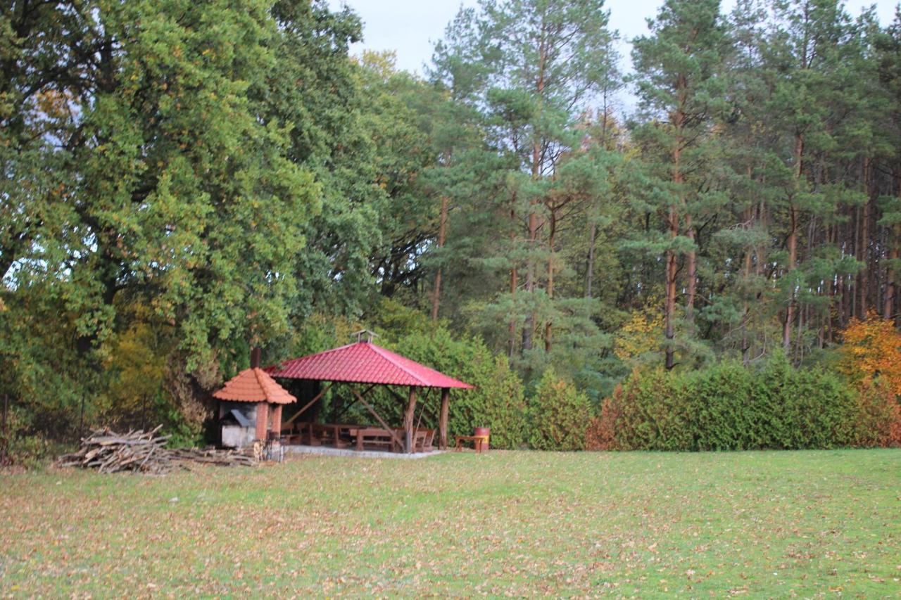 Gospodarstwo Agroturystyczne Agroletnica Swidnica  Ngoại thất bức ảnh