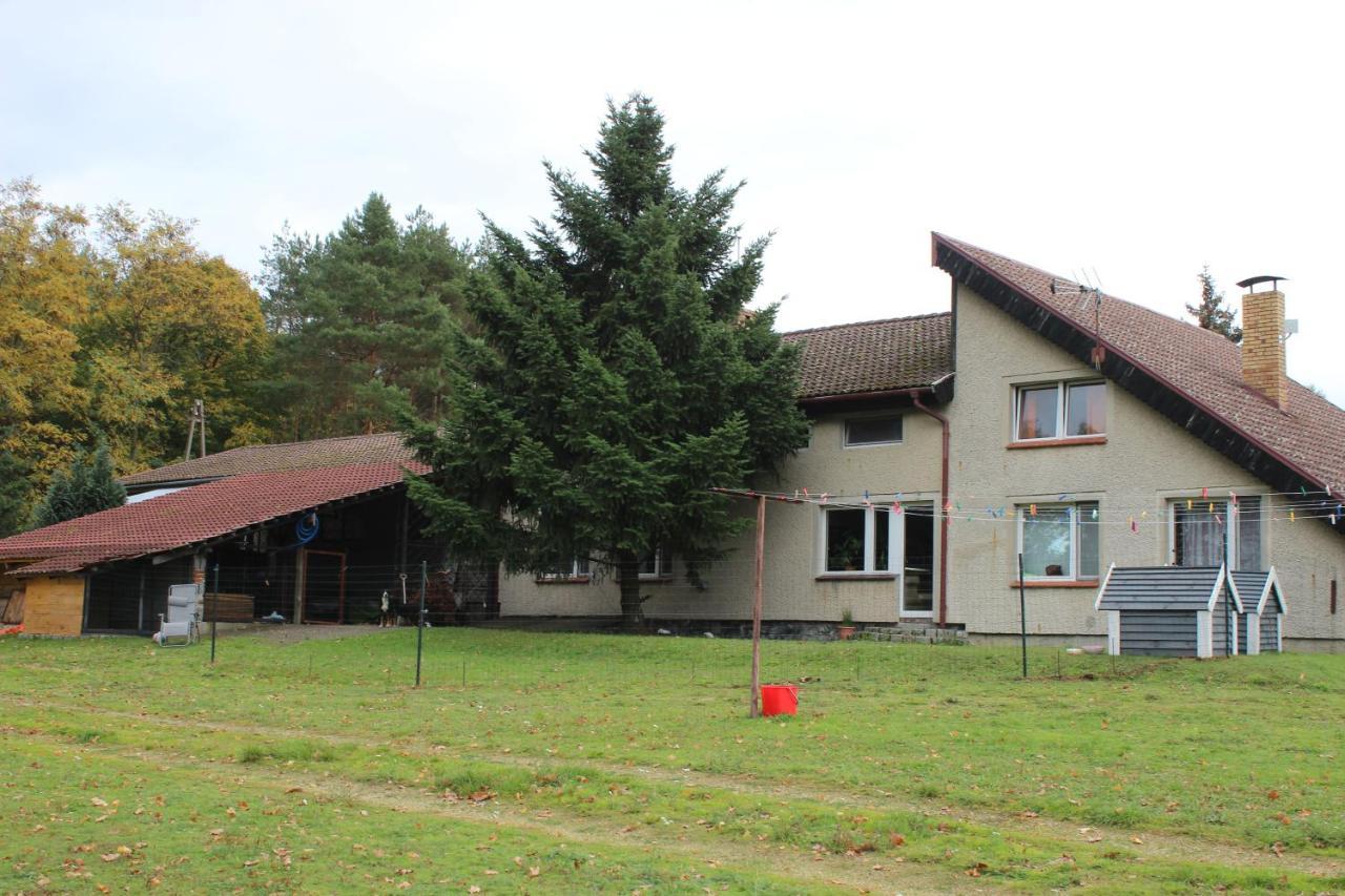 Gospodarstwo Agroturystyczne Agroletnica Swidnica  Ngoại thất bức ảnh